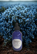 Oil of oregano with black seed oil cold pressed